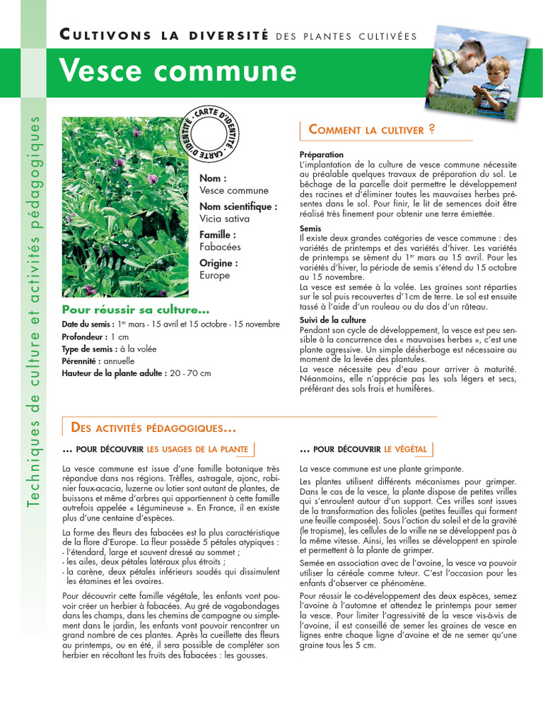 Cultiver Jardiner Vesce | PDF