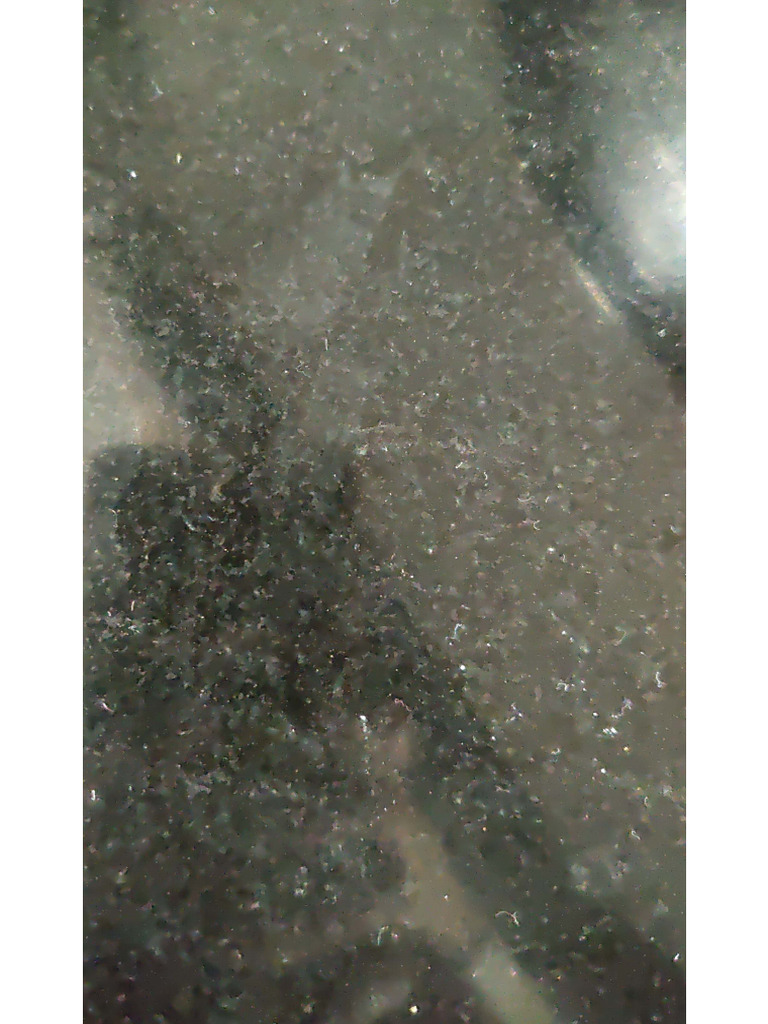 Wa0002. | PDF