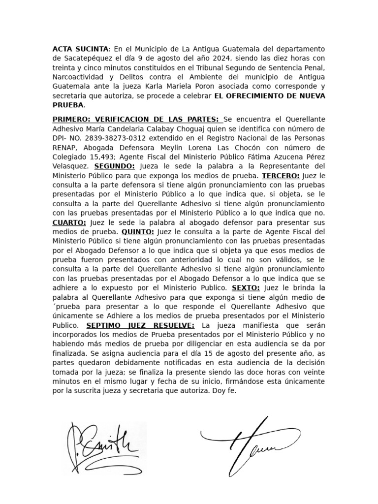 ACTA SUCINTA Penal | PDF