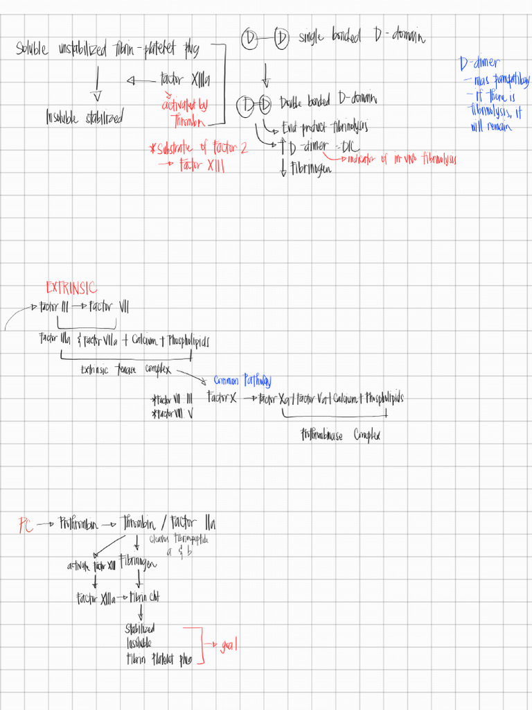 Hema 2° Hemostasis Notes From Board | PDF