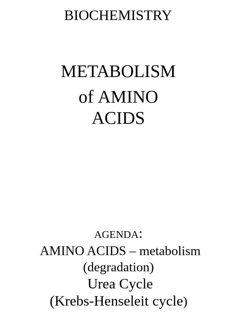Metabolism of Amino Acids | PDF