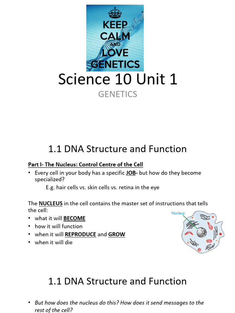 Science 10 PP Unit 1 Sect 1 DNA Protein Mutations | PDF