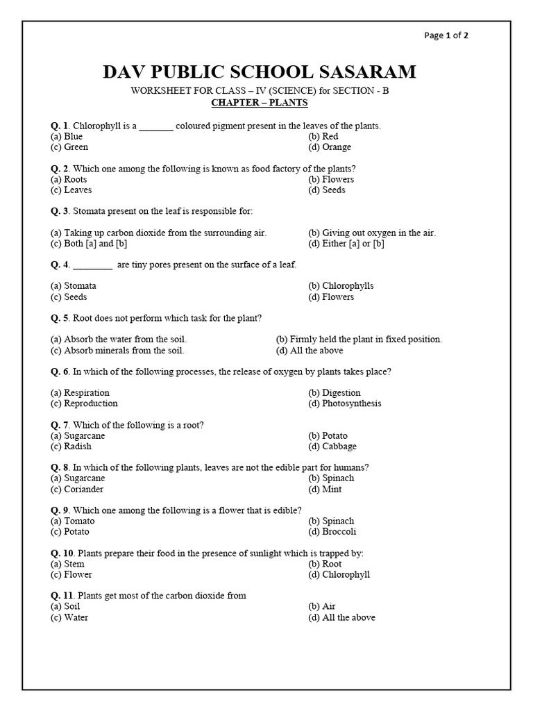 June - Worksheet 4th Science - Plants | PDF