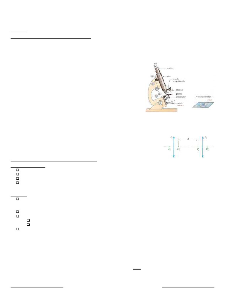 TP Le Microscope | PDF