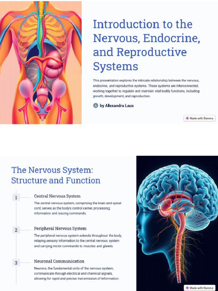 Introduction To The Nervous Endocrine and Reproduc 240903 100855 | PDF