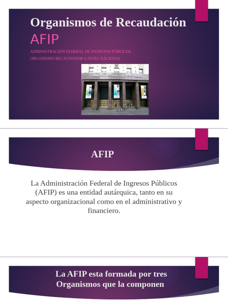 Afip Power | PDF