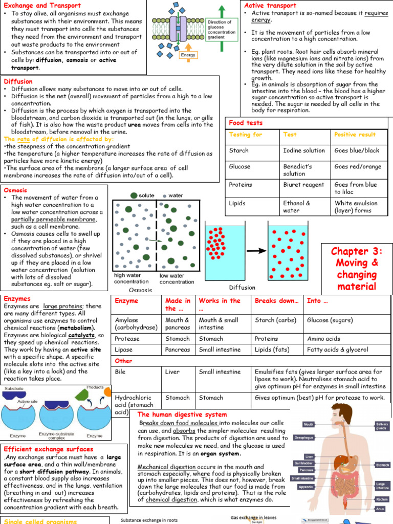 BKO Chapter 3 - Moving and Changing Materials | PDF