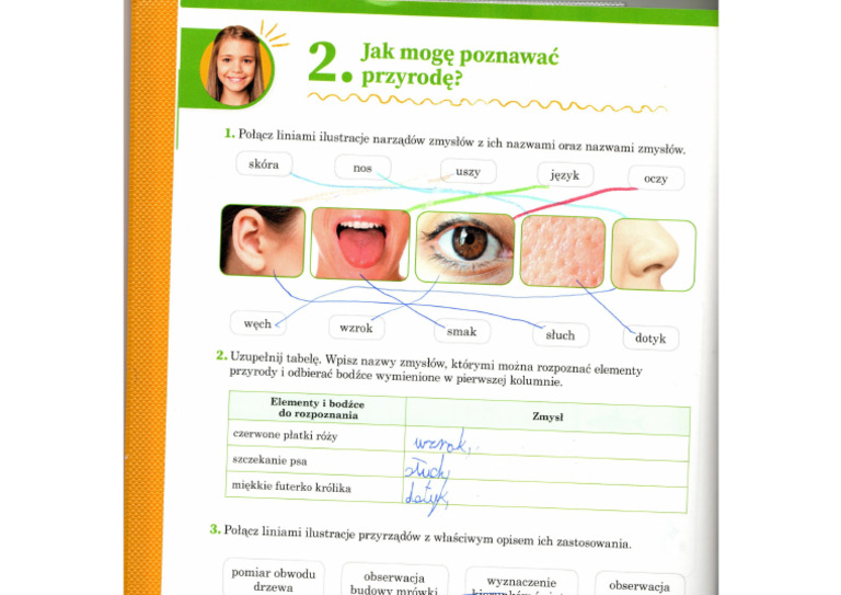 Sprawdzian Z Przyrody Klasa 4 Poznajemy Przyrode Poznajemy Przyrode 2 | PDF