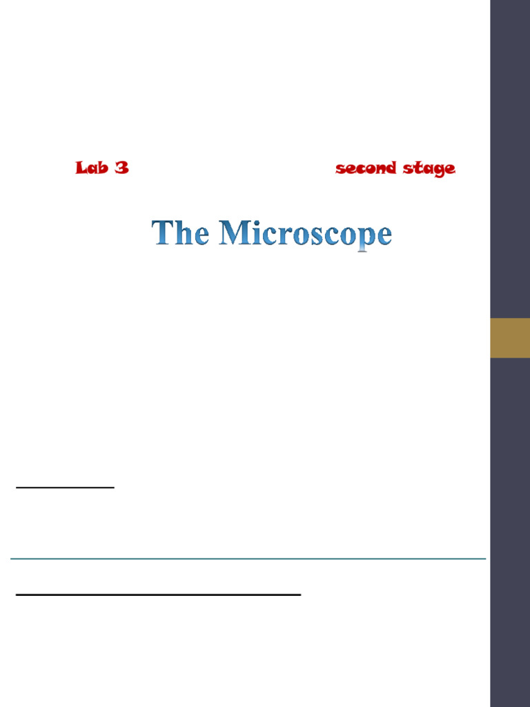 Lab 3 | PDF