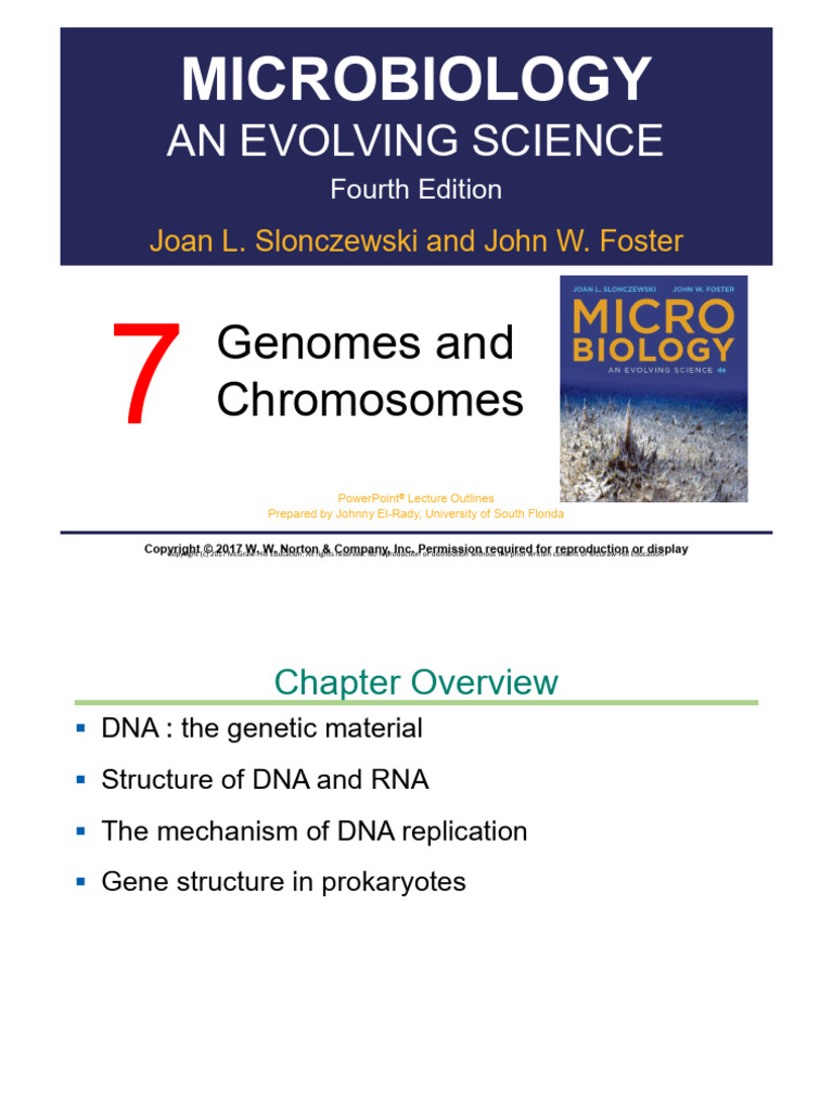 Chapter7 Upload | PDF | Dna Replication | Gene