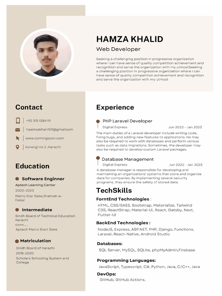 Hamza Web Developer Resume | PDF