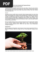 John Yoshio Naka - Bonsai Technik 1 | PDF