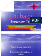 Mamiferos Marinos Diapositivas