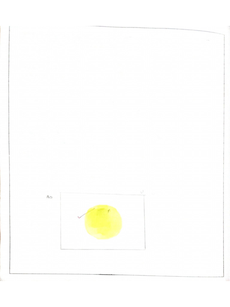 11 Maths Activity 1 2 And 3 Pdf