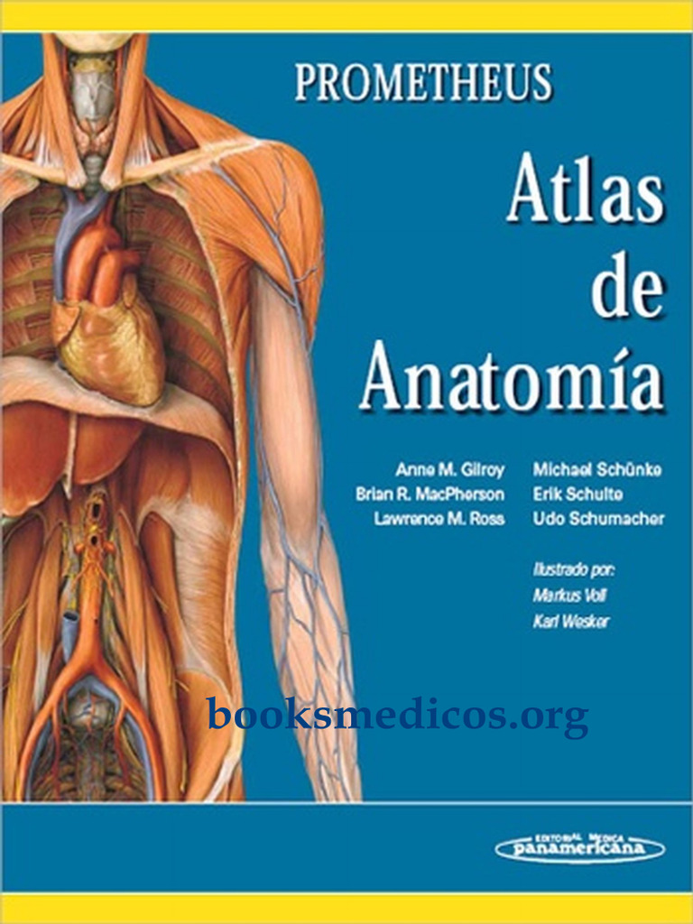 Prometheus Atlas de Anatomia | PDF