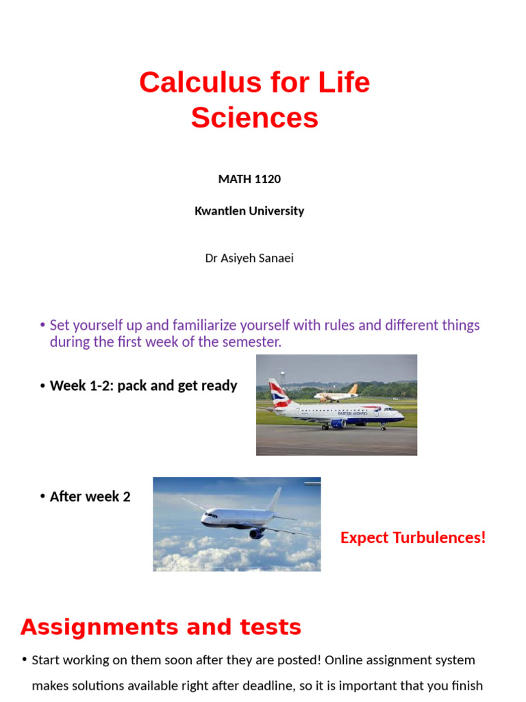 MATH1130L1 | PDF