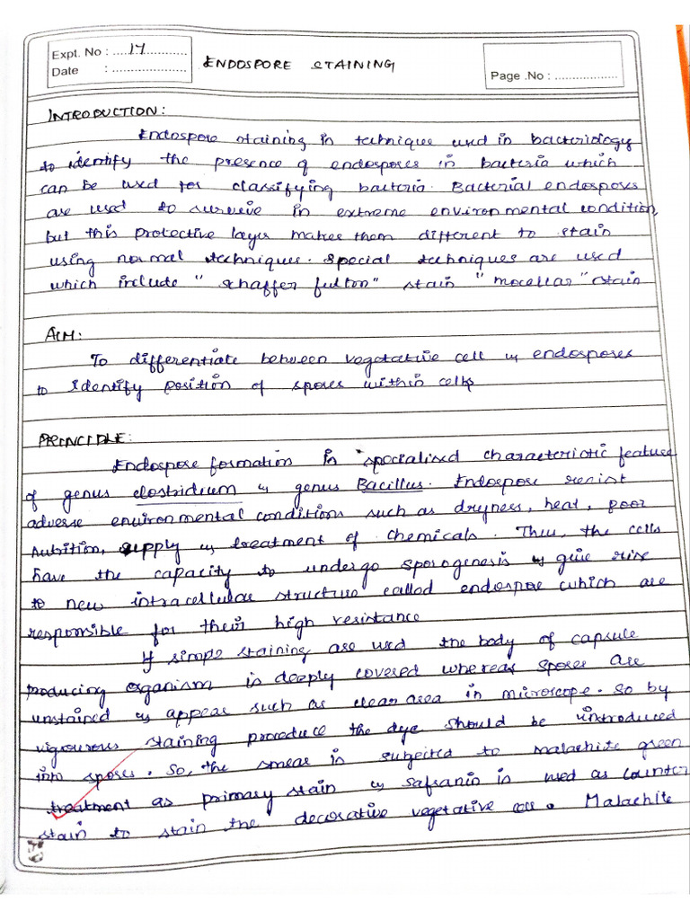 Experiment No 10 | PDF