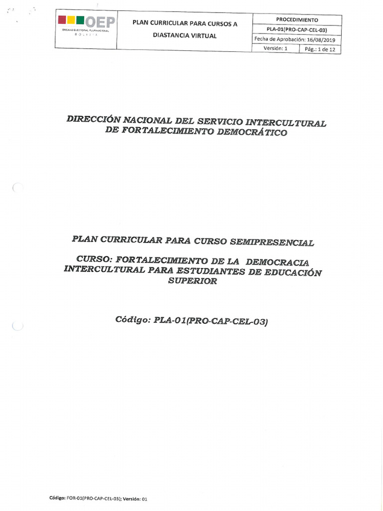 Plan Curricular para Estudiantes de Educación Superior | PDF