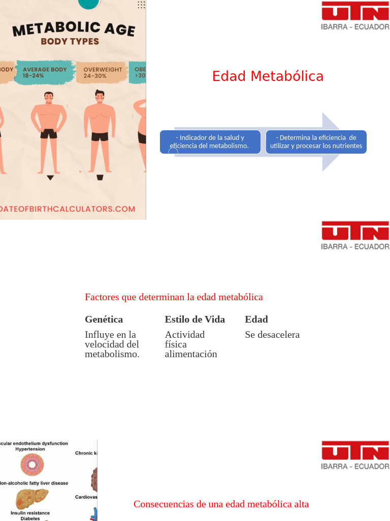 Edad Metabolica | PDF