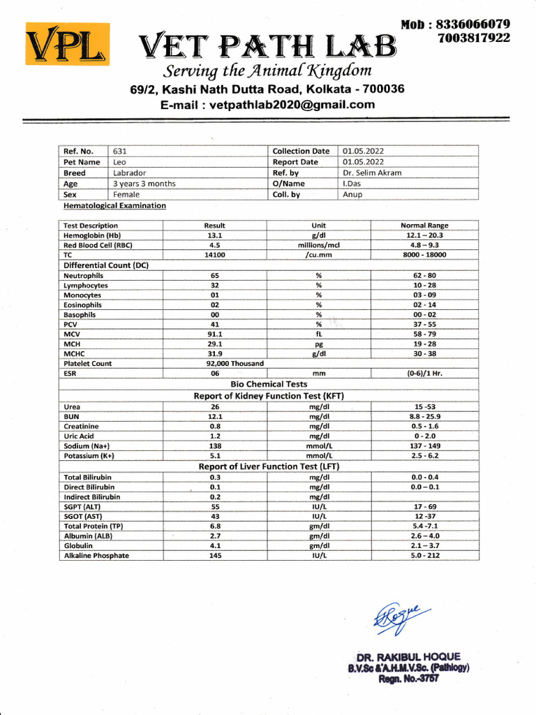 Labrador Health Report: Blood & Biochemical Tests | PDF | Anatomy | Blood