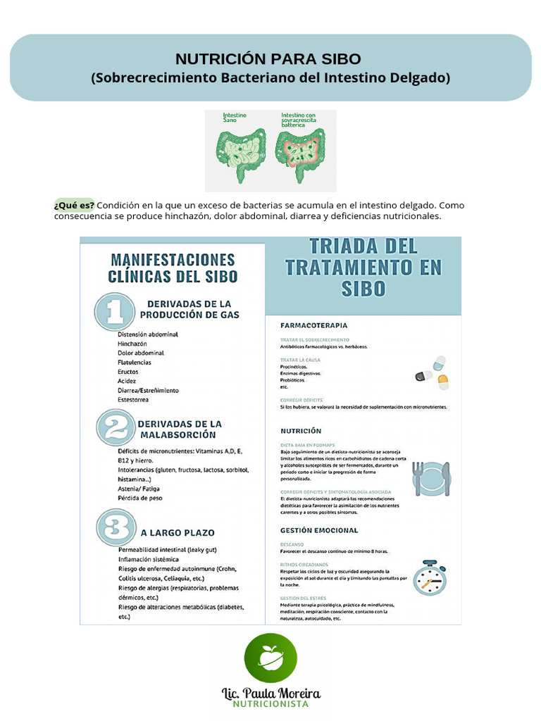 Nutrición para SIBO - 20240730 - 111109 - 0000 | PDF