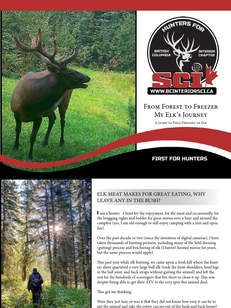 From Forest To Freezer Guide To Field Dressing An Elk by Evan Saugstad | PDF