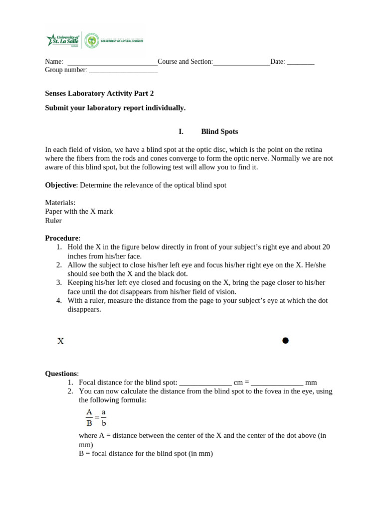 Senses Laboratory Activity Module 6 Part II | PDF
