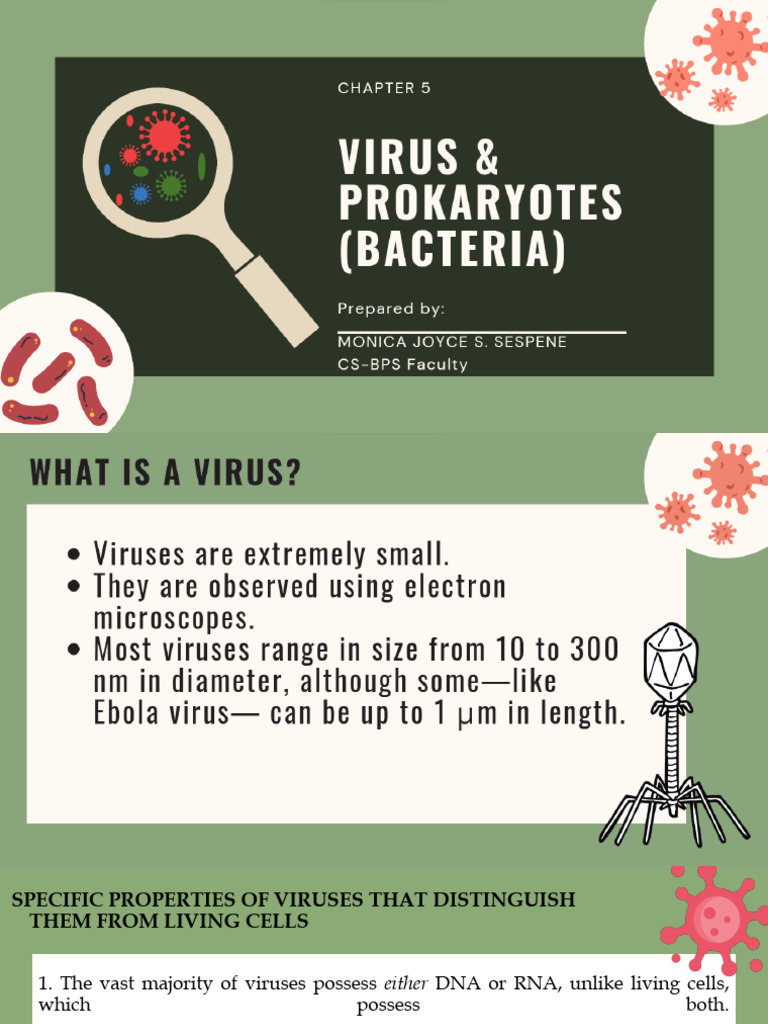 Virus and Prokaryotes (Bacteria) | PDF
