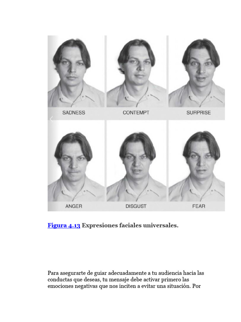 6 Estimulos de La Persuasion | PDF | Las emociones | Persuasión