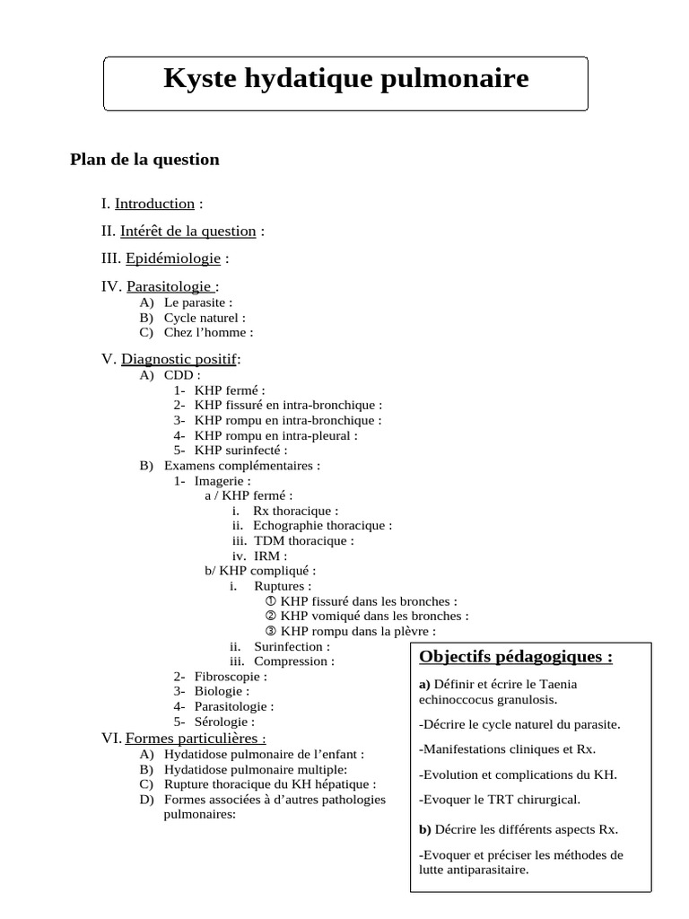 22 KHP Plan Du Cours | PDF