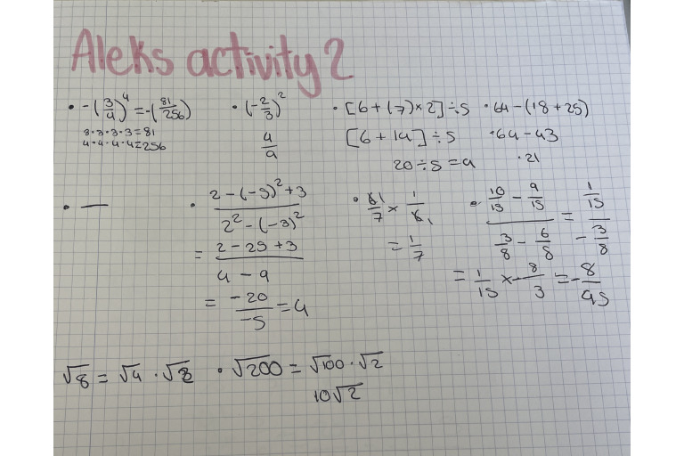 Aleks 1 | PDF