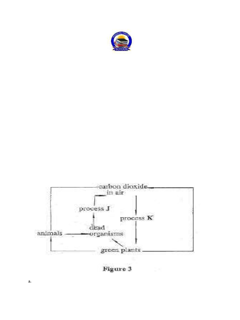 Biology Practice Questions on Ecosystems | PDF | Food Web | Ecosystem