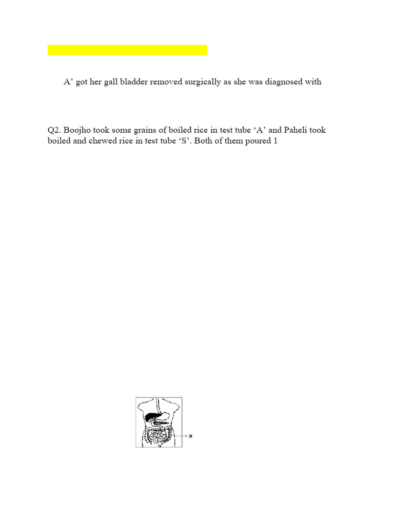 CBE Questions VII Ch-2 Nutrition in Animals | PDF