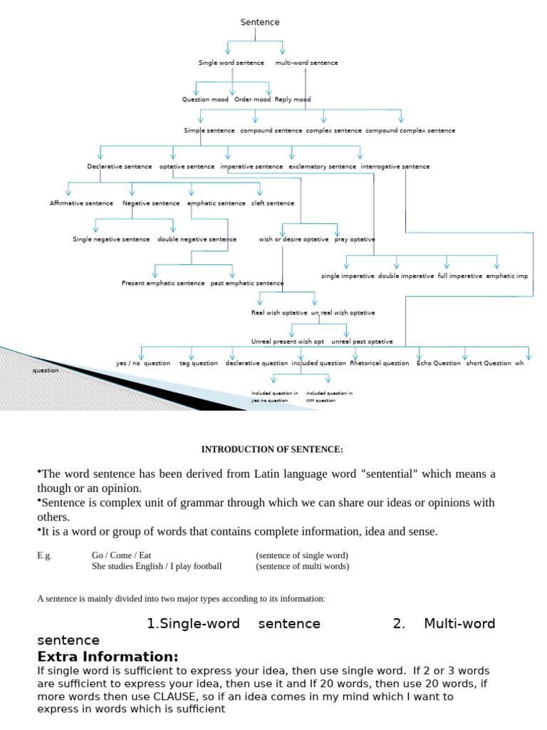 Topic Sentence Full | PDF