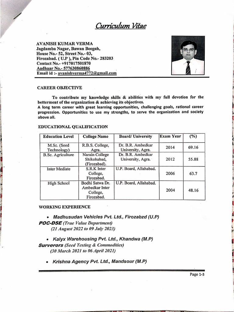 Job resume 2024 PDF