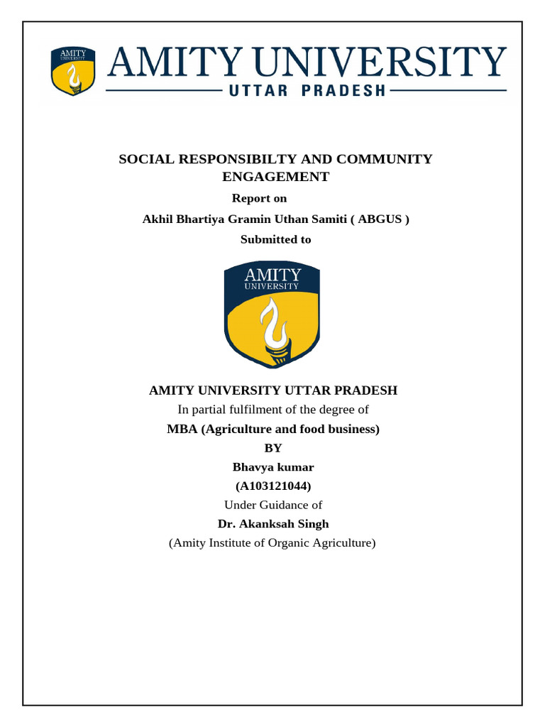 Bhavya NGO Report. | PDF