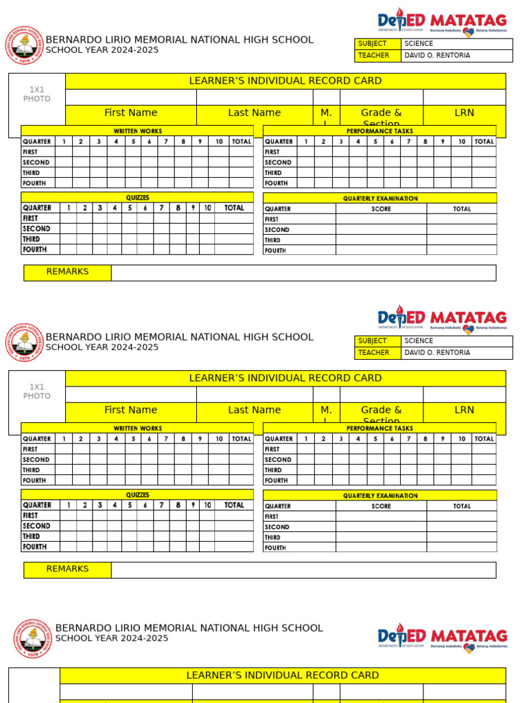 Individual Record Card Template 2024-2025 | PDF | Art