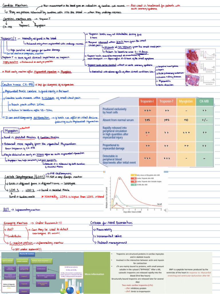 Cardiac Markers | PDF