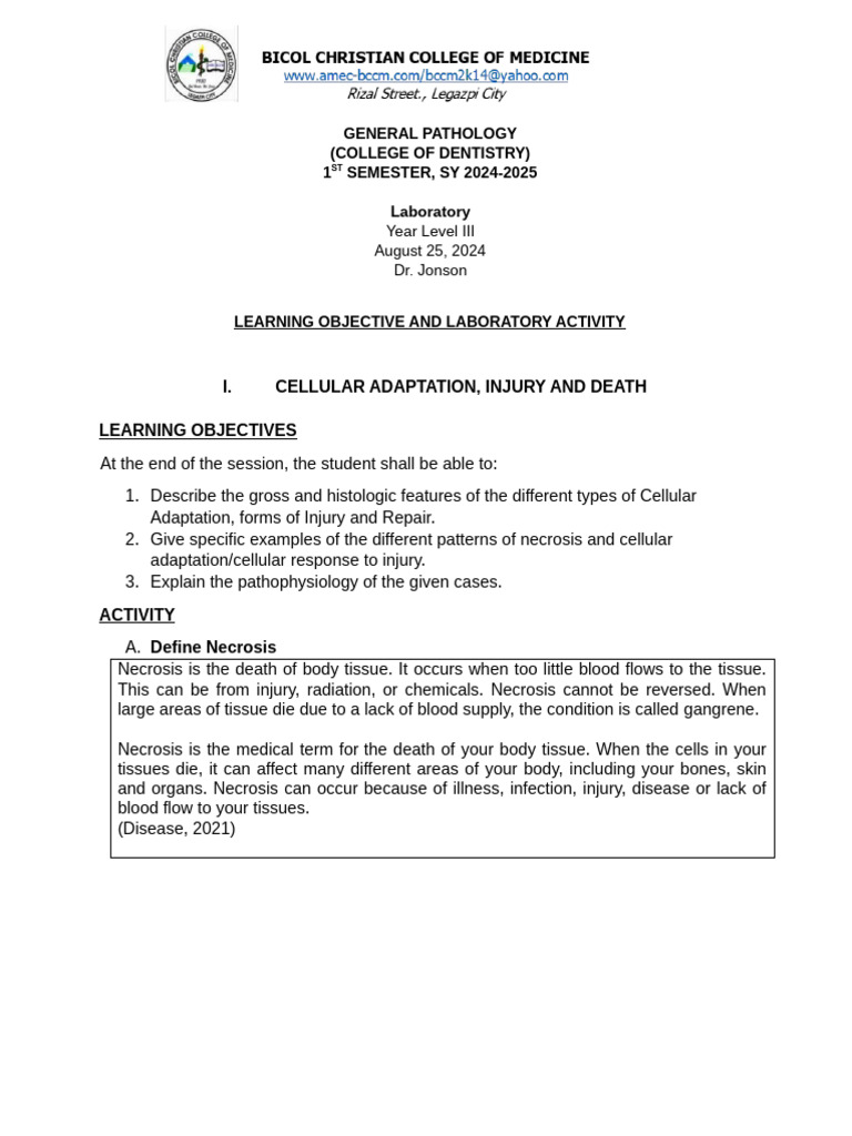 Gen Path | PDF