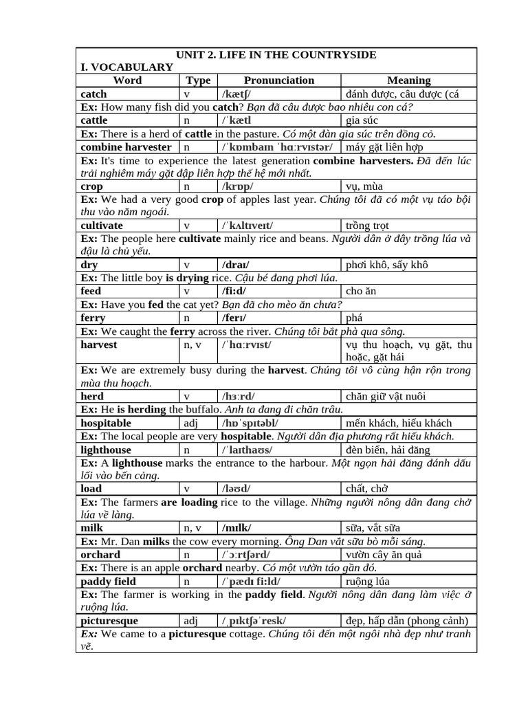 Unit 2 Lớp 8 Bài tập | PDF