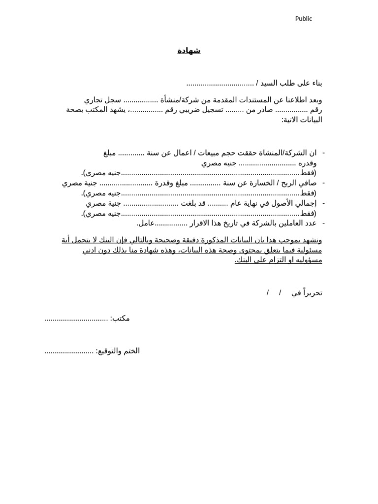 Audited Sales Declaration Template (02) - 1 | PDF