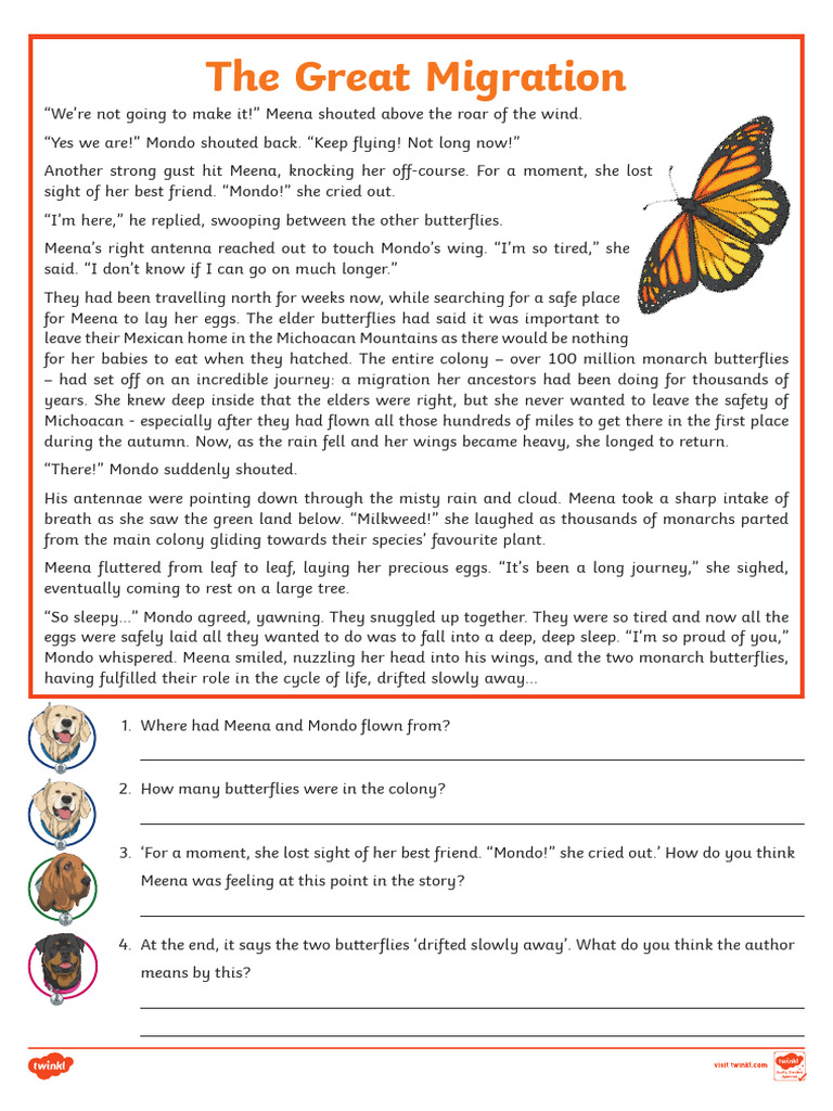 Fiction Revision Mat | PDF