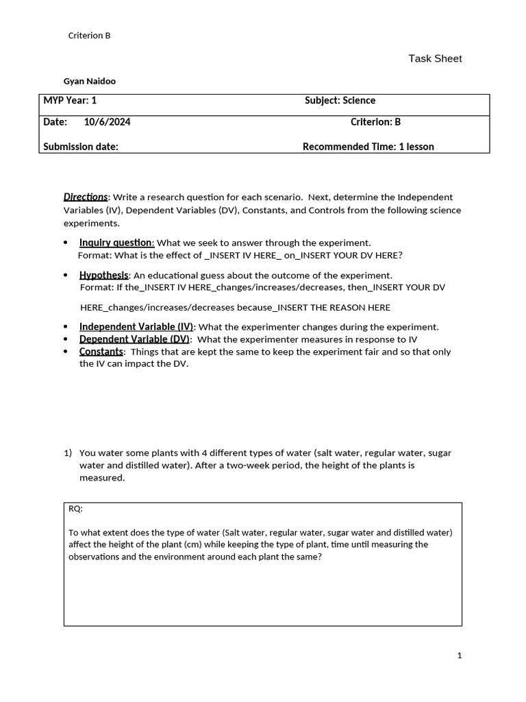 Worksheet Criterion B Practice PDF