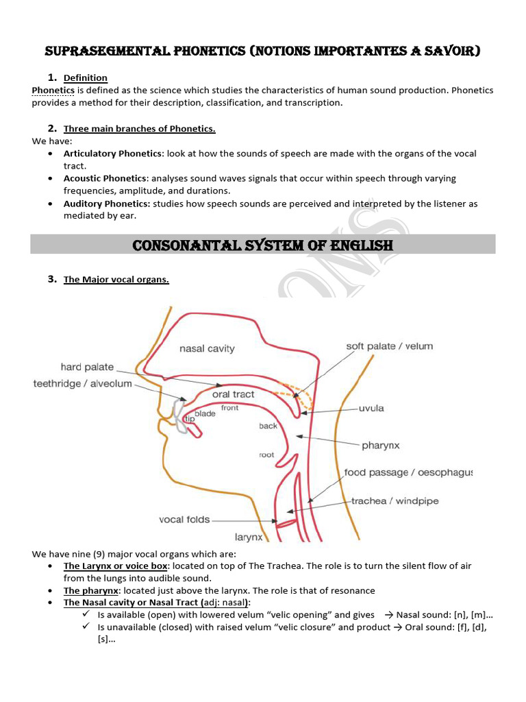 Suprasegmental Phonetics | PDF
