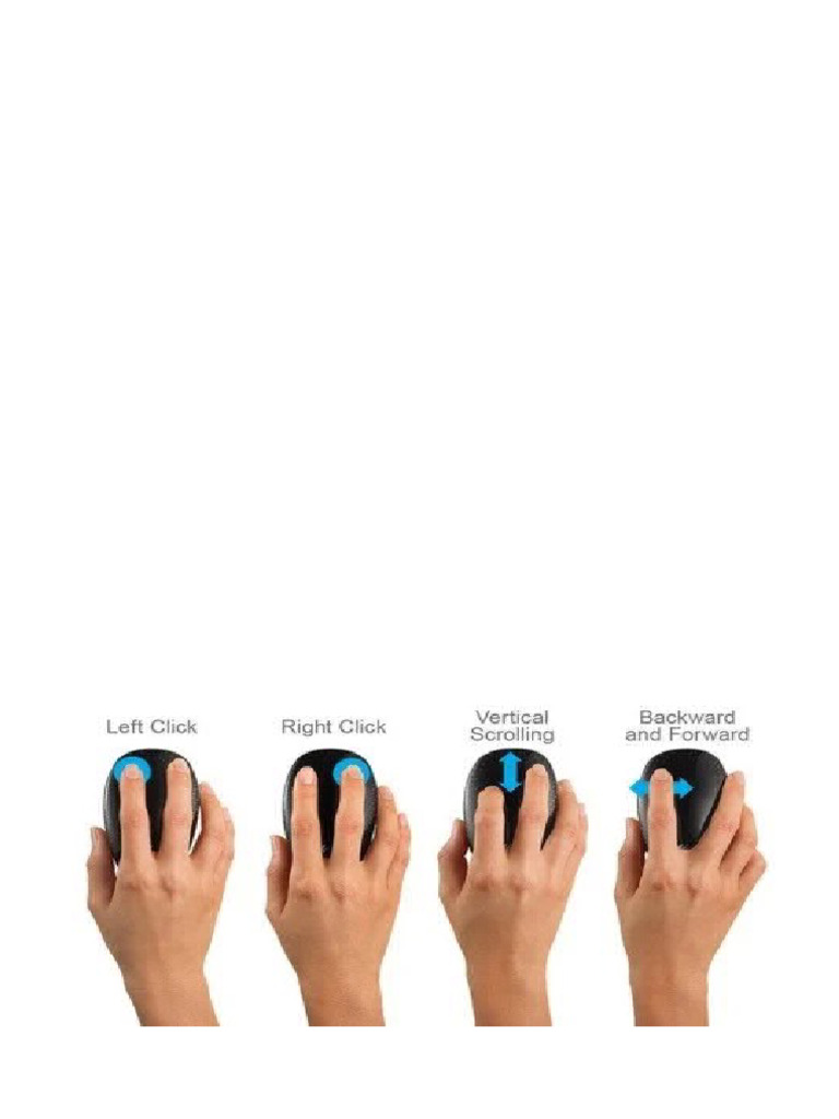 MOUSE | PDF