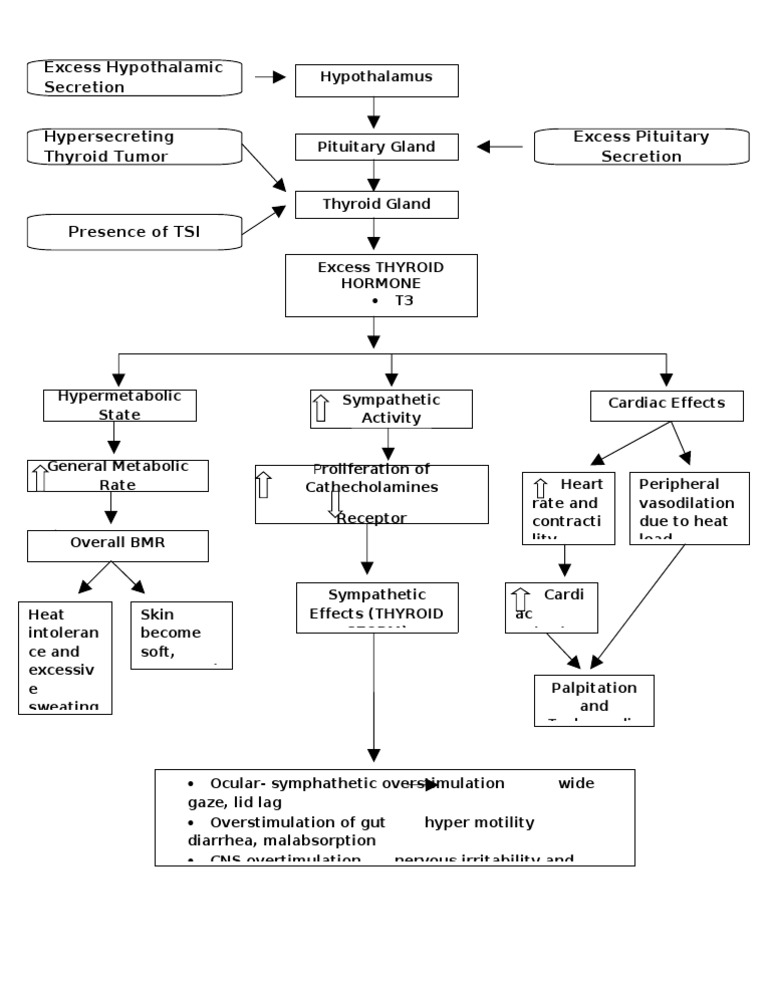 Hyperthyroidism Pathophysiology Overview | PDF