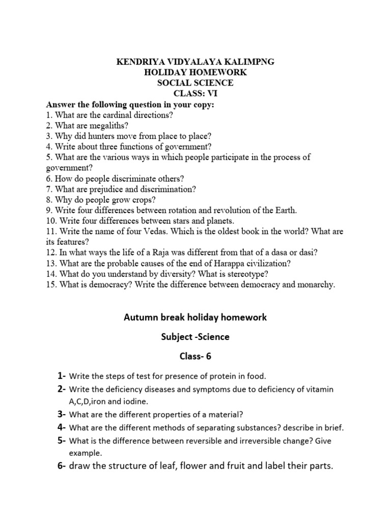 Holiday Homework Class VI | PDF