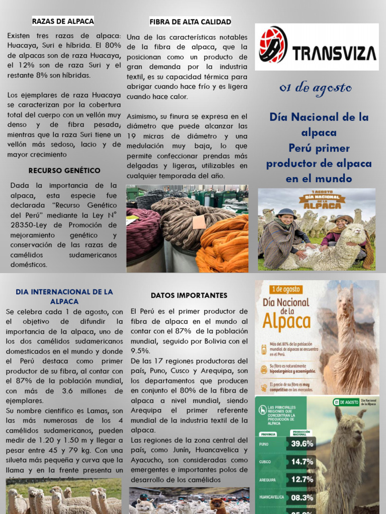 III TRIPTICO Dia Nacional de La Alpaca | PDF