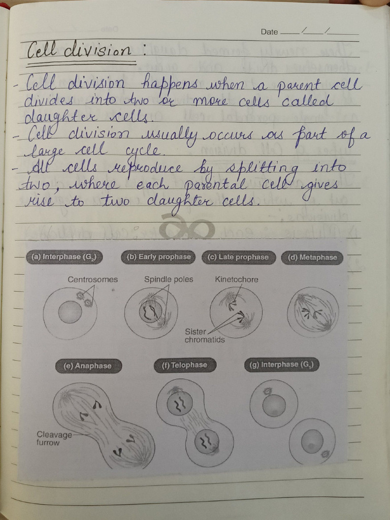 Hap Notes | PDF