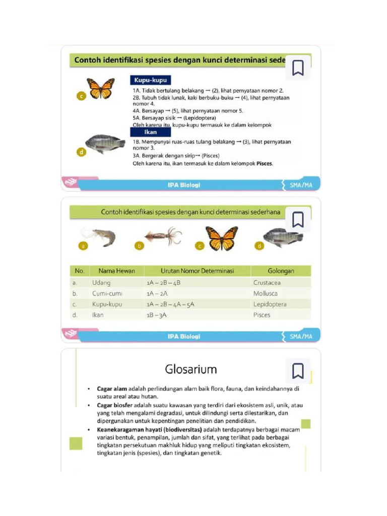 RAFQA | PDF